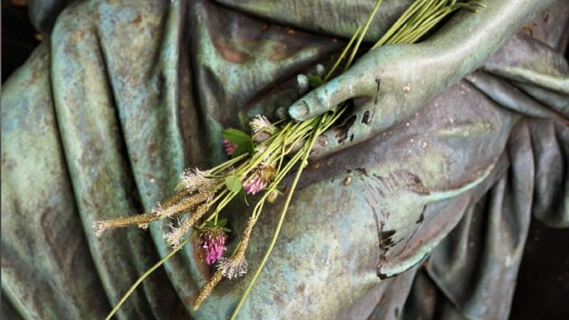 Nunc tincidunt ante vitae massa